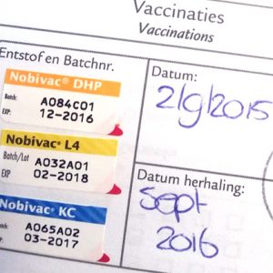 intake, vaccinaties en hondenpaspoort