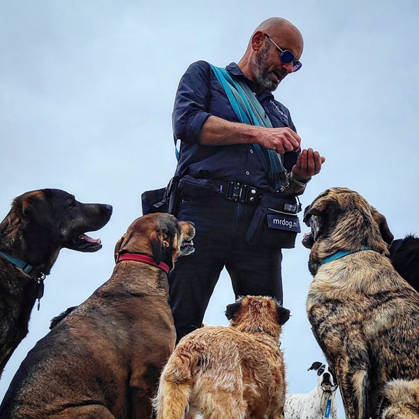 Mister Dog hondenuitlaatservice Den Haag Scheveningen